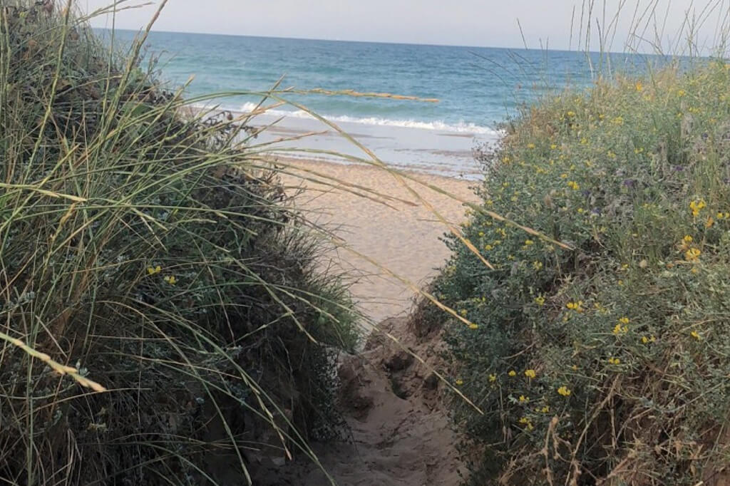 Playa de la Devesa del Saler Valencia