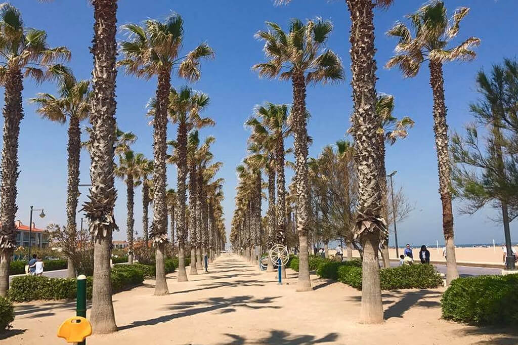 Playa de la Malvarrosa Beach